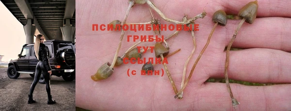 дживик Заволжье