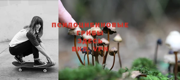 a pvp Заволжск