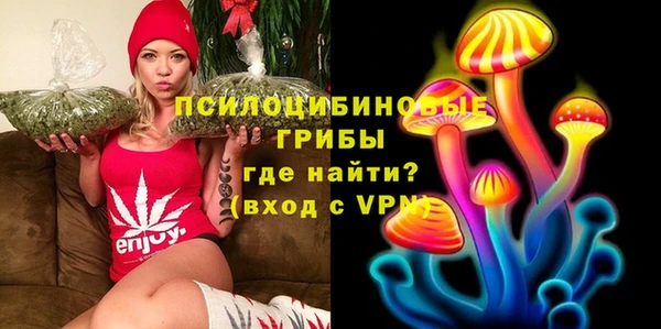 ECSTASY Заводоуковск